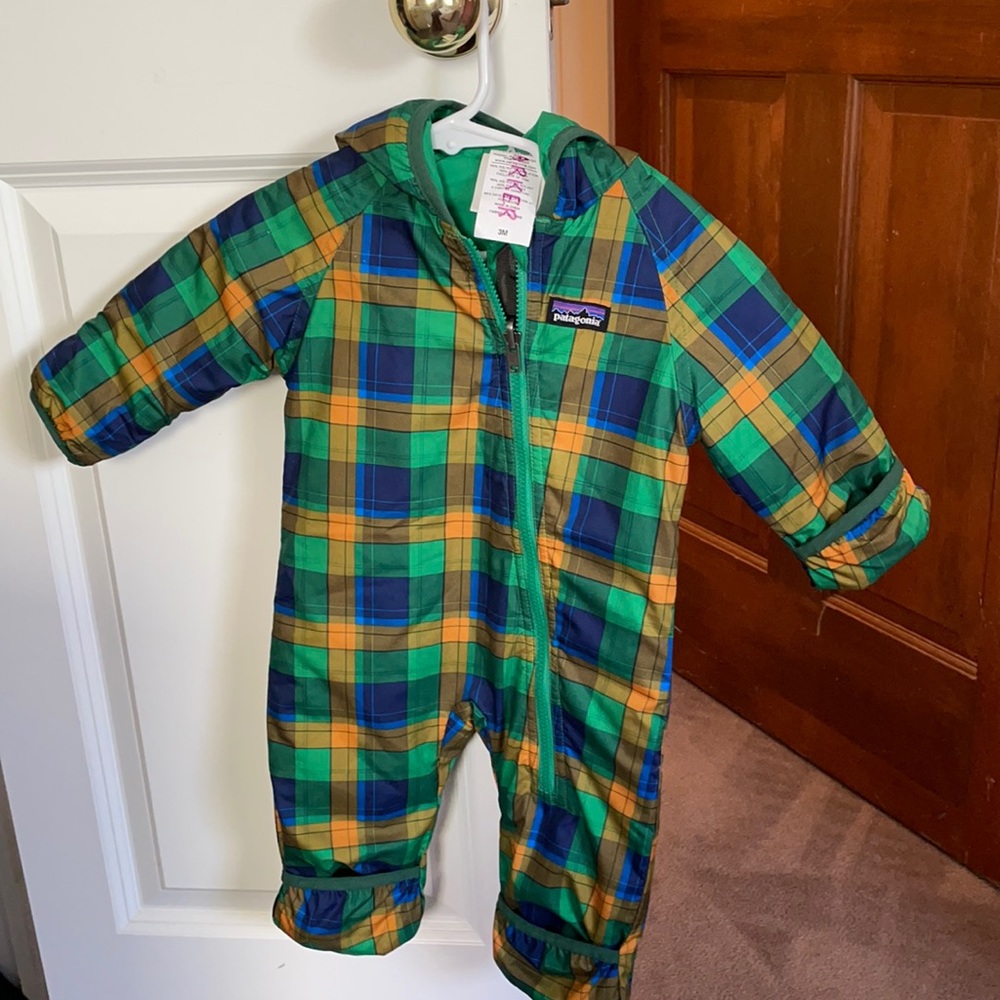 Patagonia buntings 3 month